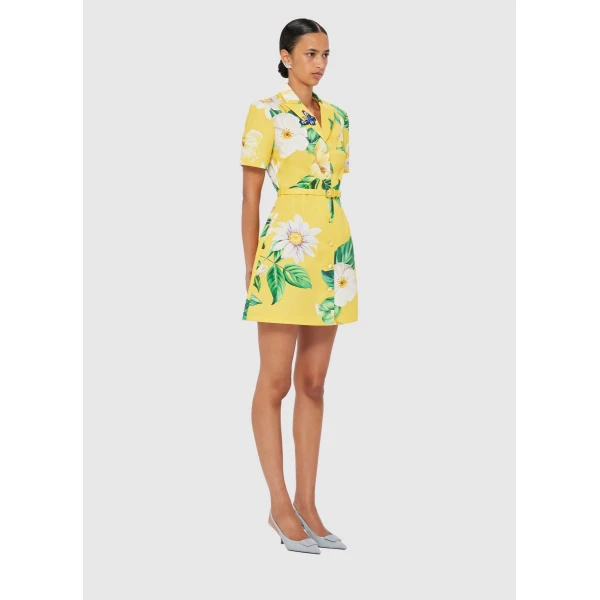 Leo Lin Brigitte Mini Dress – Joie Print in Sunshine, view 3