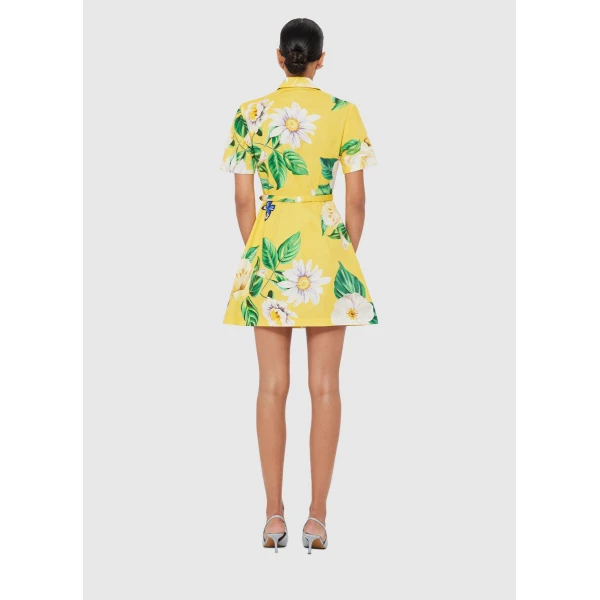 Leo Lin Brigitte Mini Dress – Joie Print in Sunshine, view 4