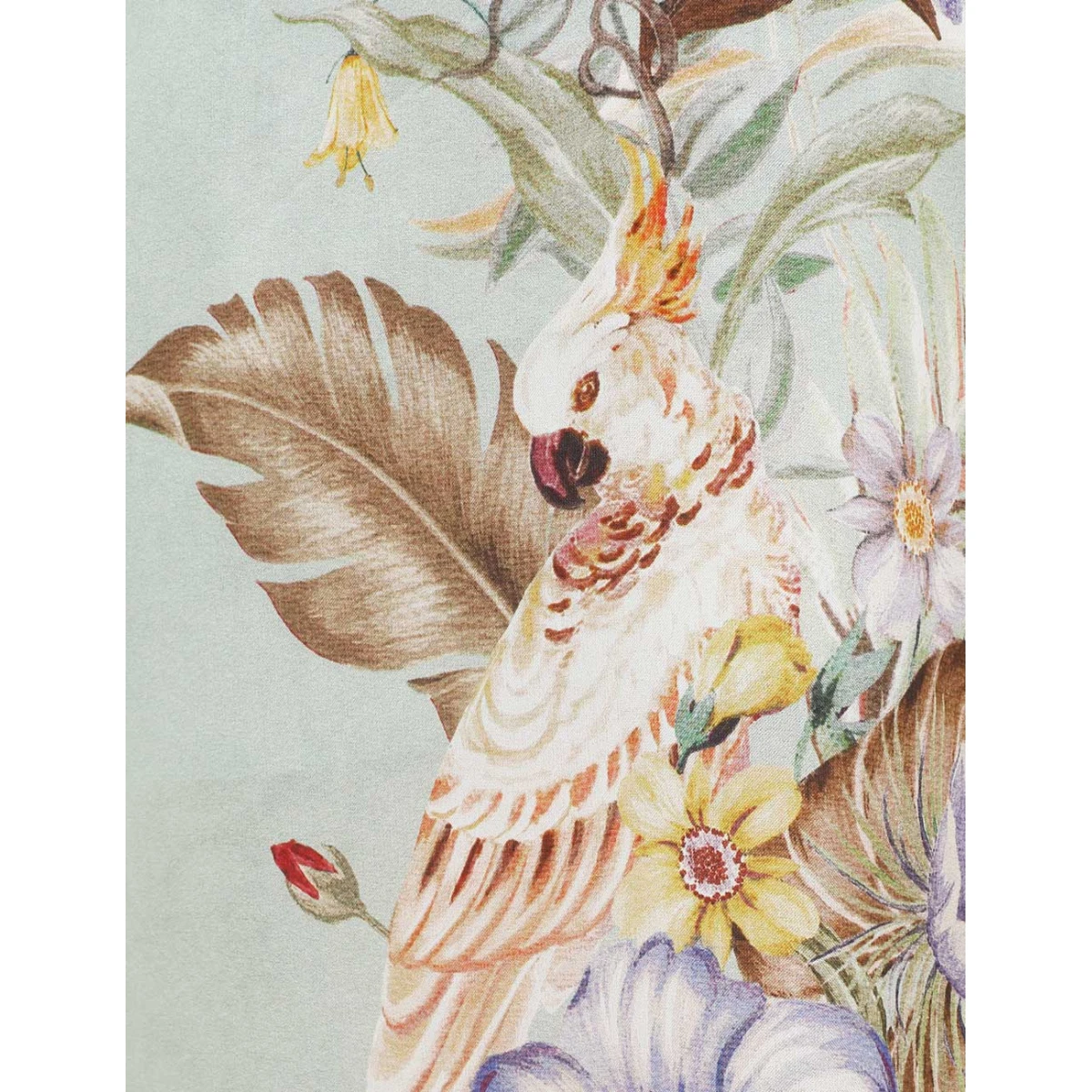 Zimmermann clothing