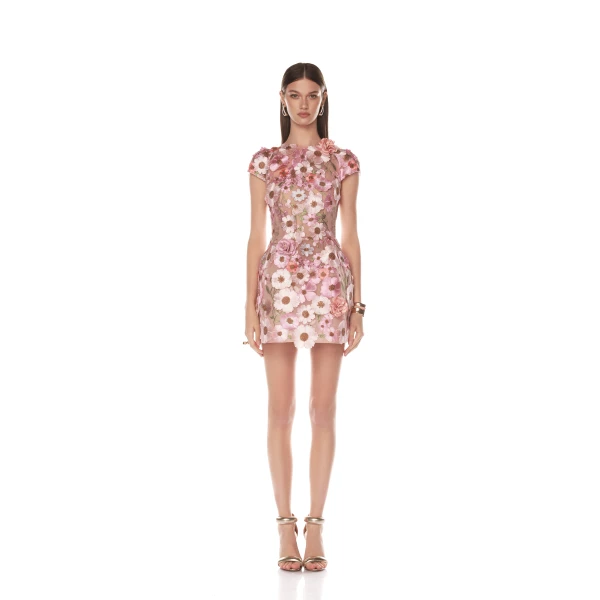 Bronx and Banco Jasmine Capsleeve Pastel Mini Dress, view 2