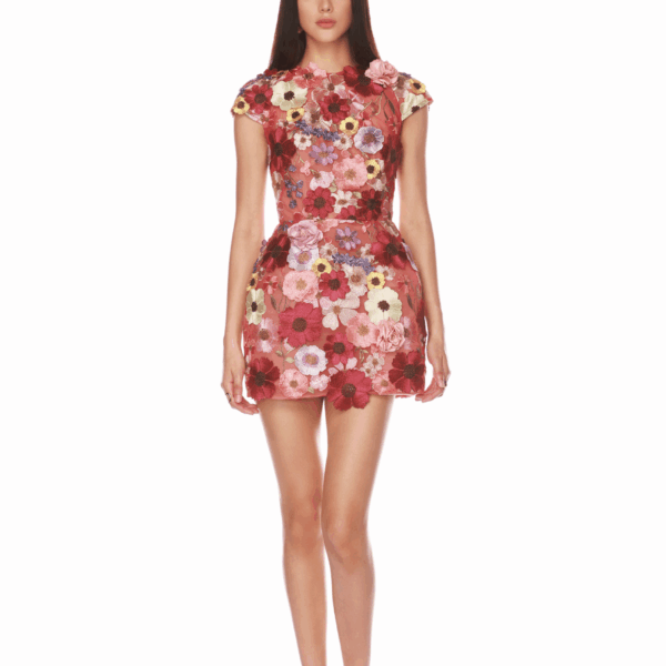 Bronx and Banco Red Jasmine Capsleeve Red Multi Mini Dress  a harmonious blend of structured elegance and timeless sophistication