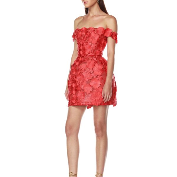 Bronx and Banco dress