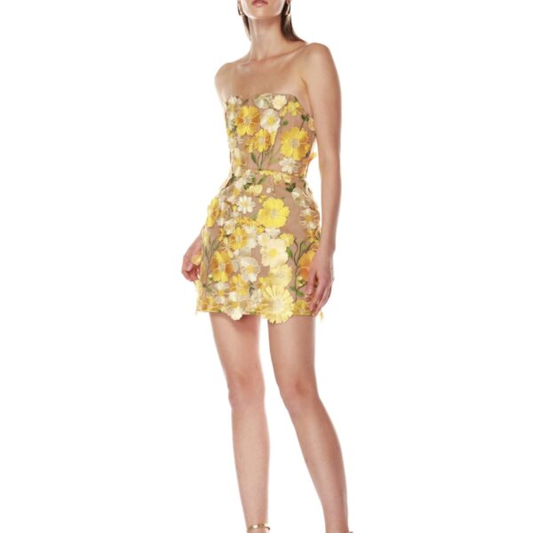 Bronx and Banco dress