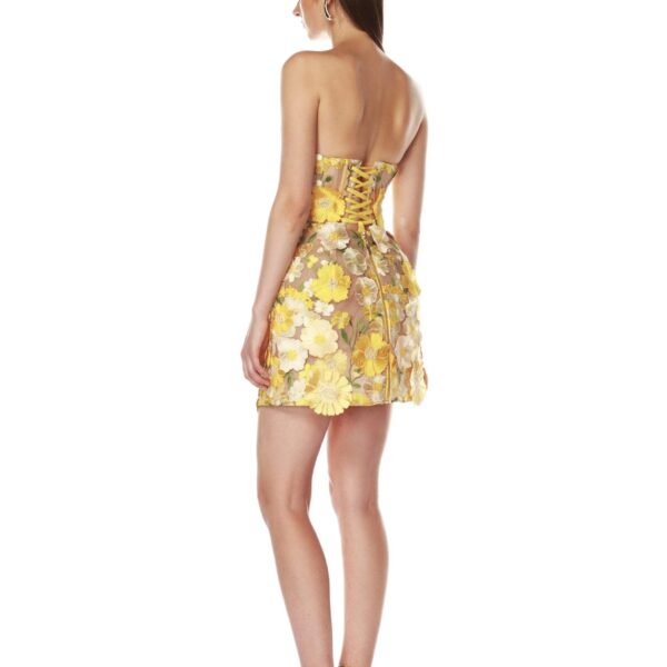 Bronx and Banco dresses