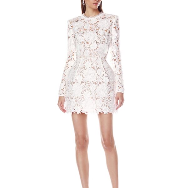 Bronx and Banco dress
