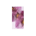 Dries-Van-Noten-Printed-silk-skirt-scaled34334_nobg Dries Van Noten Skirts luxury Clothing from Coveti Marketplace