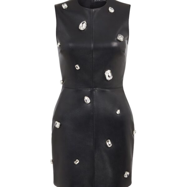 David Koma Crystal Embroidered Leather Mini Dress