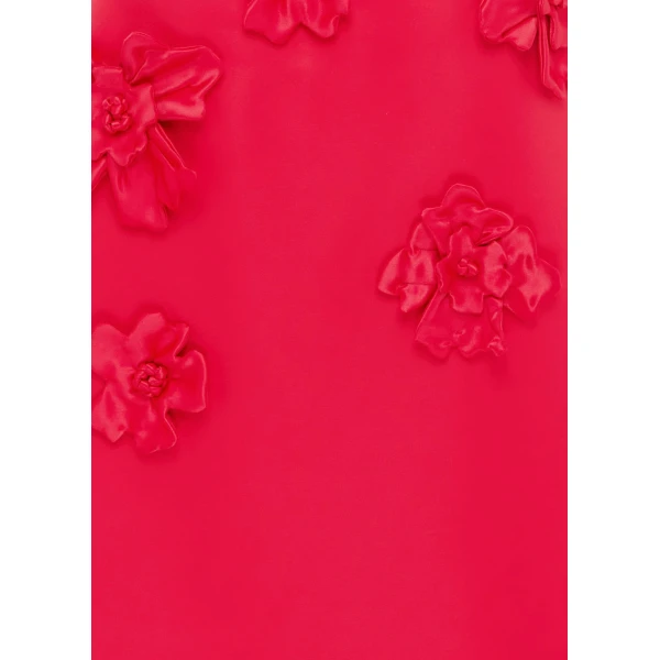 Leo Lin Rianne Floral Appliqué Maxi Dress – Rosa, view 6