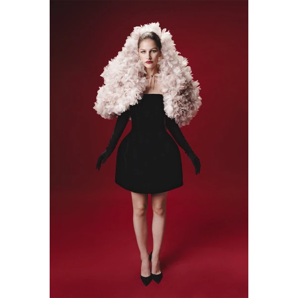 Rasario Mini Dress – couture evening dress