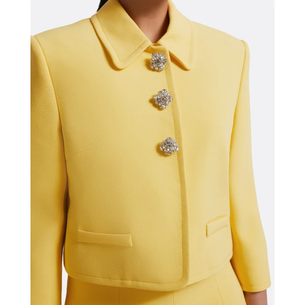 Safiyaa Arata Jacket In Aspen Gold With Crystal, view 5