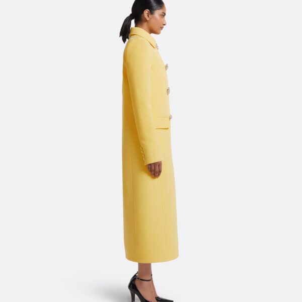 Kota Jacket In Aspen Gold by Safiyaa ‚Äì luxury jackets in Gold available at Coveti
