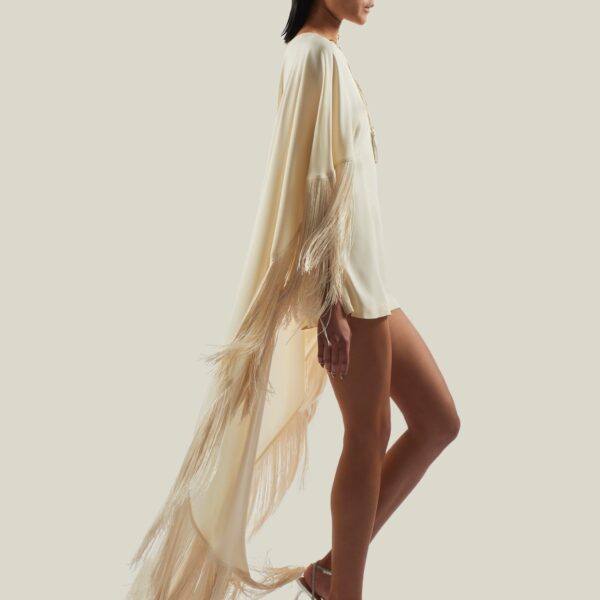 carpet Taller Marmo gown with feather detail – Coveti