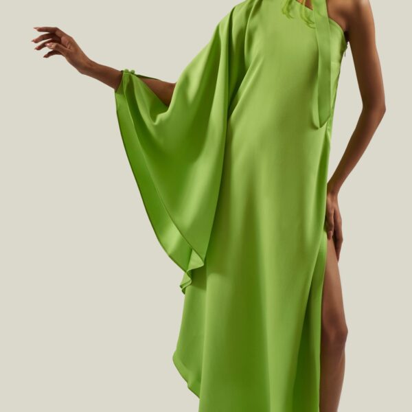 carpet Taller Marmo gown with feather detail – Coveti
