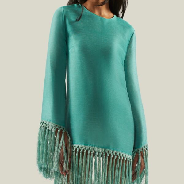 carpet Taller Marmo gown with feather detail – Coveti