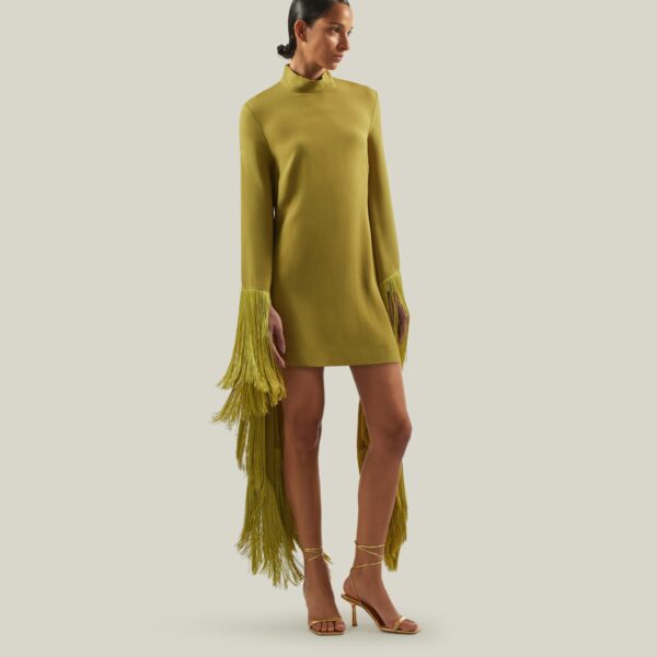 Luxury Taller Marmo dress in satin with feather trim – shop Coveti