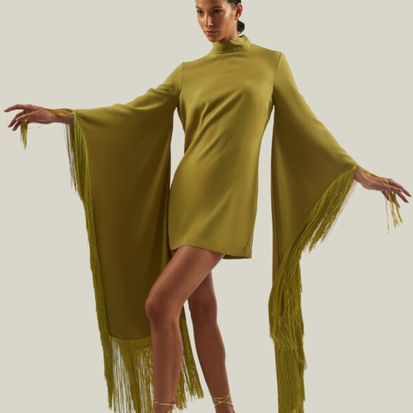 carpet Taller Marmo gown with feather detail – Coveti