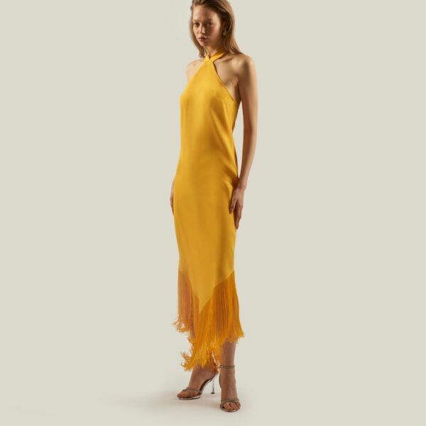 Luxury Taller Marmo dress in satin with feather trim – shop Coveti