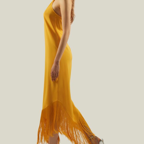 carpet Taller Marmo gown with feather detail – Coveti