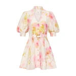 Aje Multicolour Dresses