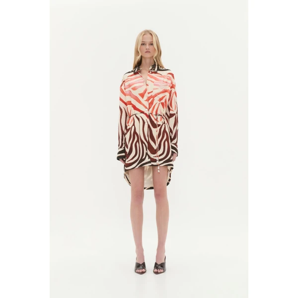 Solace Shirt Dress