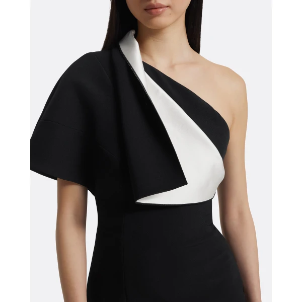 Safiyaa Yume Long Dress in Ivory on Black, view 4