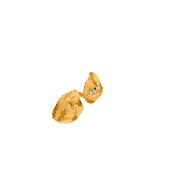Schiaparelli Ring luxury Ring from Coveti Marketplace