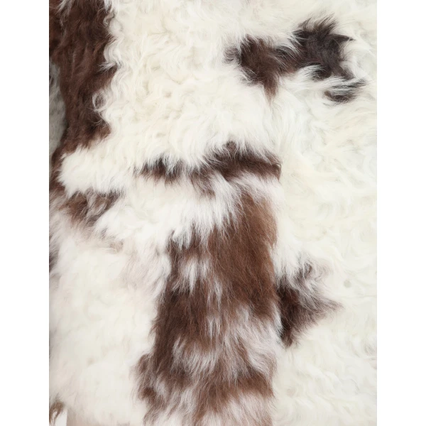 available now at Coveti.