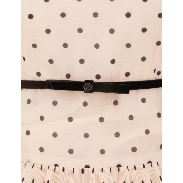 available now at Coveti.