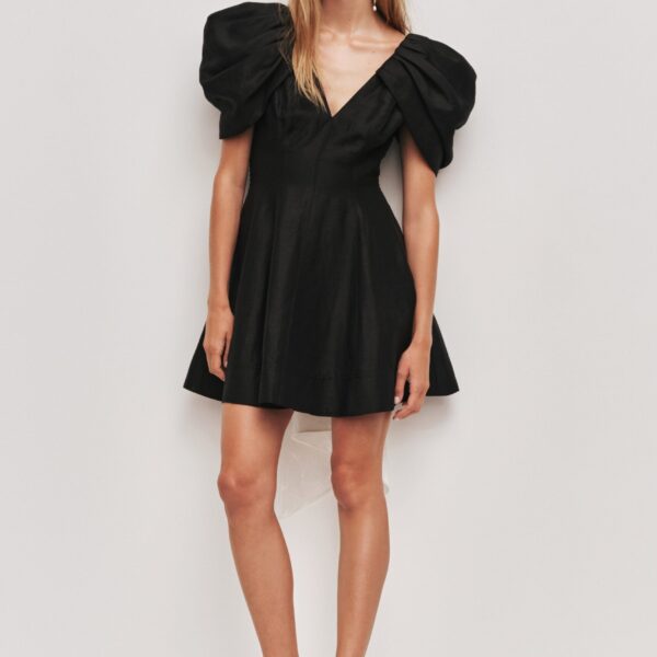Bisou Mini Dress