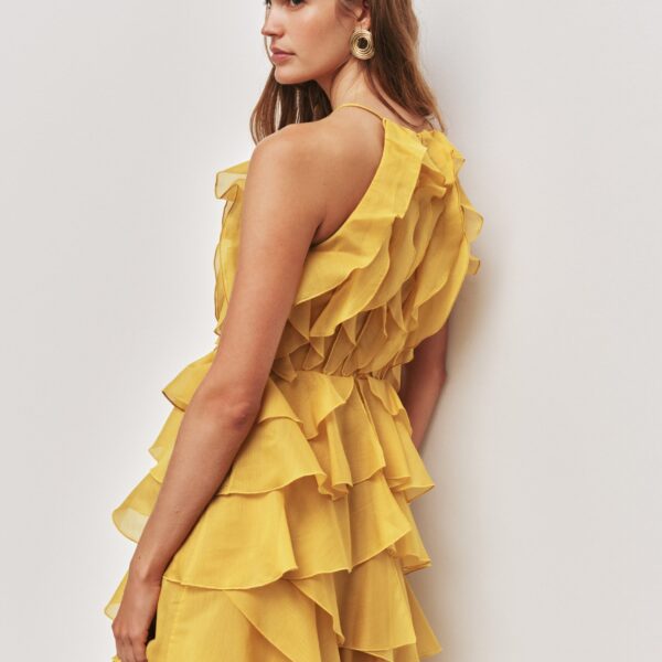 Aje clothing Aus Dresses – structured silhouette with raw femininity from Coveti