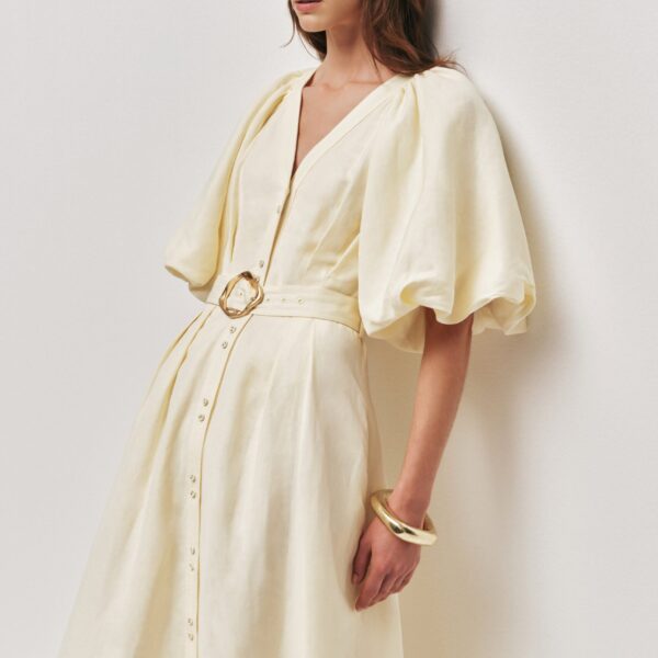 Portrait Midi Dress