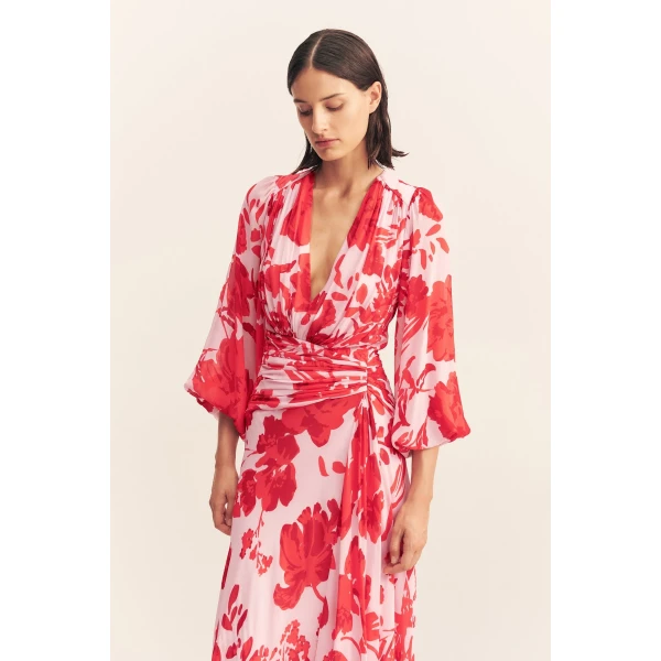 Shona Joy Red Dresses