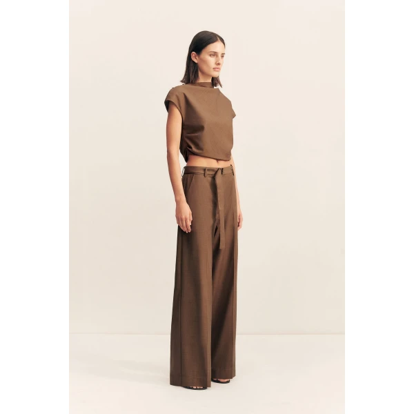 Shona Joy Brown Pants