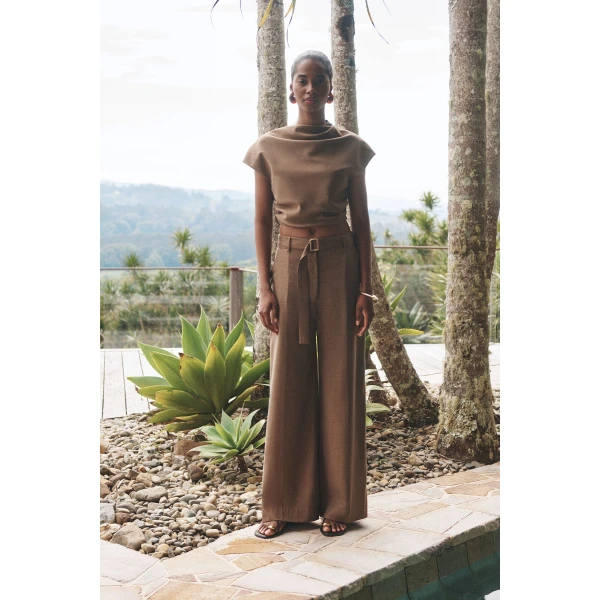 Shona Joy Brown Pants
