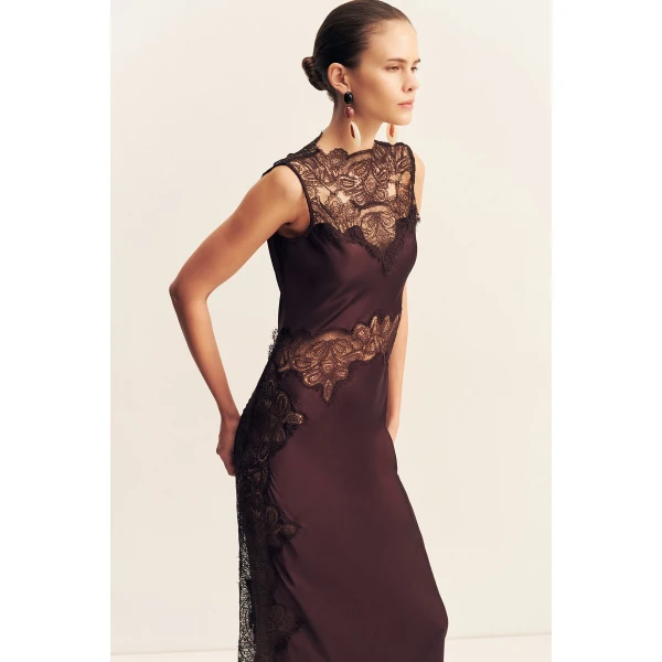 Shona Joy Brown Dresses