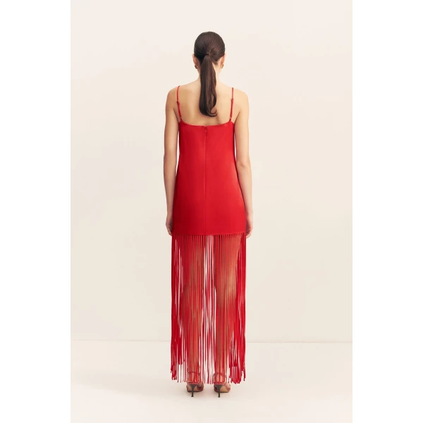 Shona Joy Red Dresses