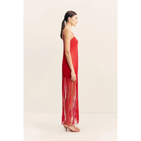 Shona Joy Red Dresses