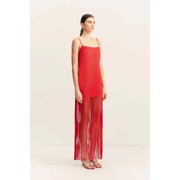 Shona Joy Red Dresses
