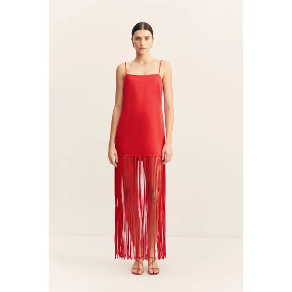 Shona Joy Red Dresses
