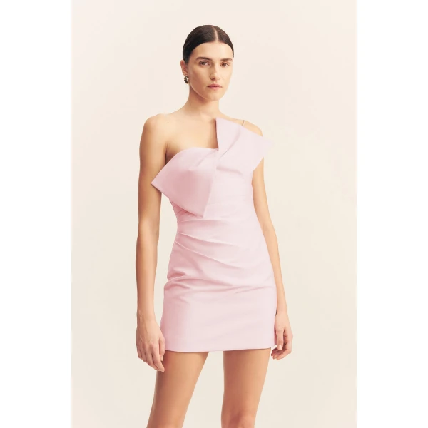 Shona Joy Pink Dresses