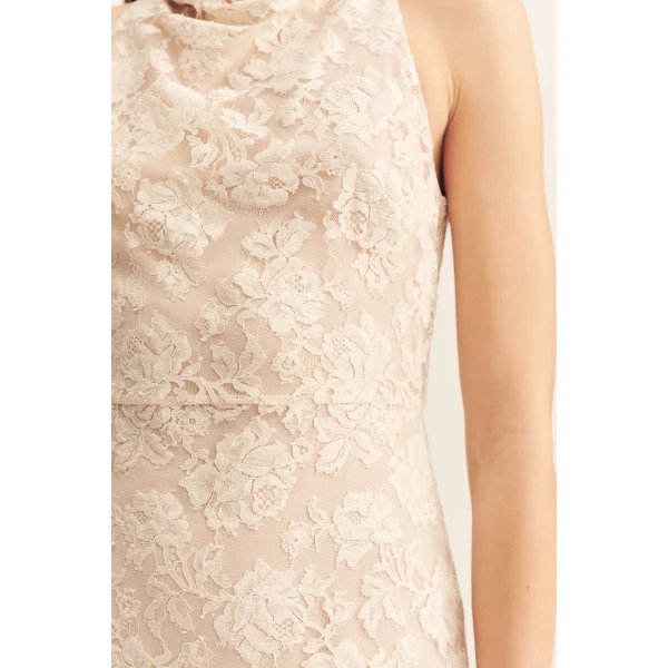 Shona Joy Ivory Dresses