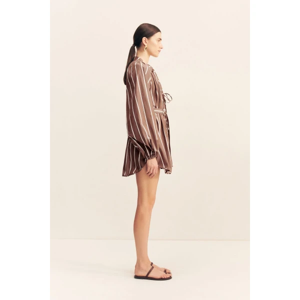 Shona Joy Brown Dresses