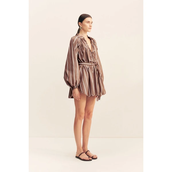 Shona Joy Brown Dresses