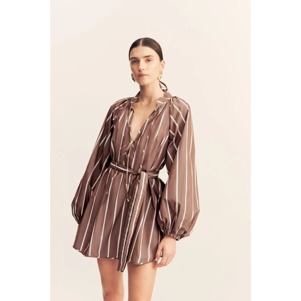 Shona Joy Brown Dresses