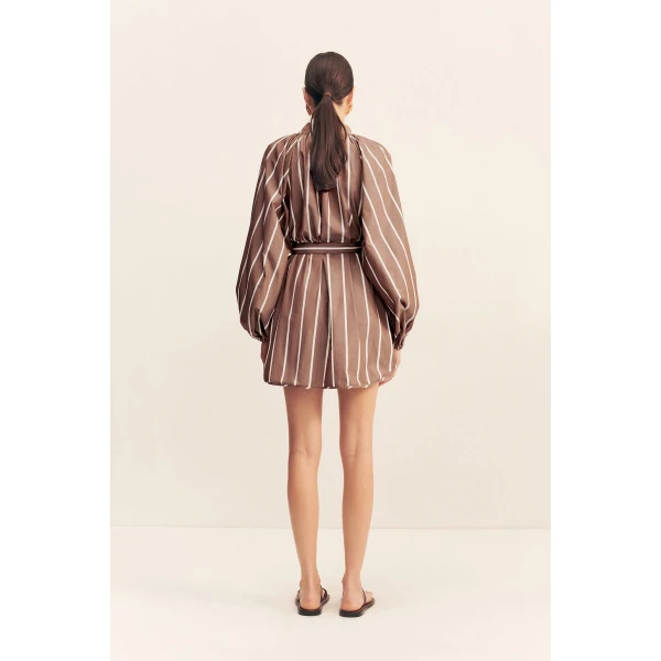 Shona Joy Brown Dresses