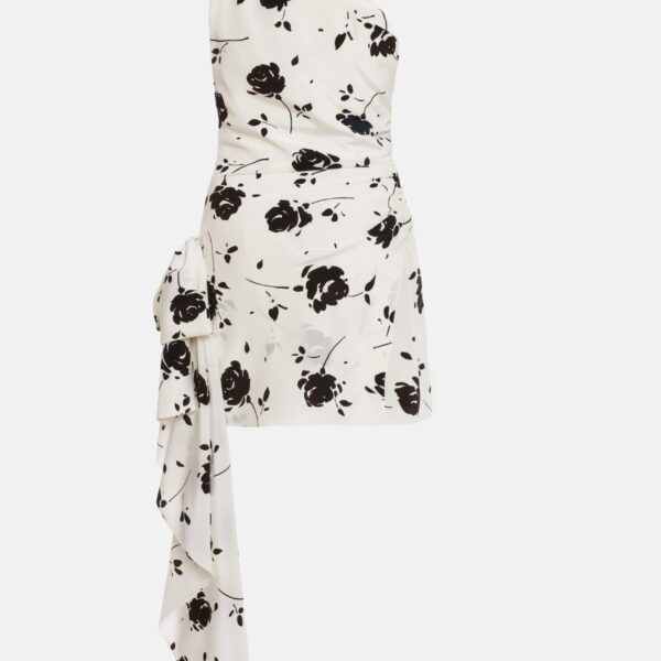 Rose Print Mini Dress