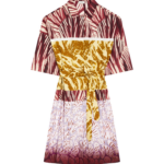 Dries Van Noten Dresses