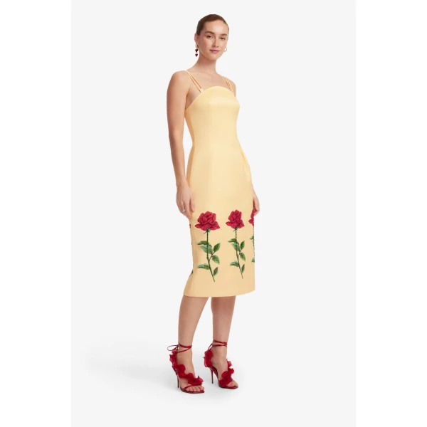 Square neckline