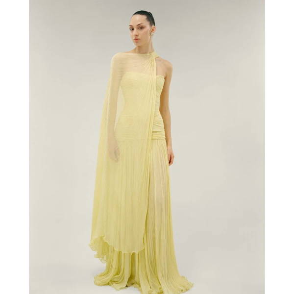 Marmar Halim Strapless Pleated Chiffon Georgete Dress With Pleated Cape Dresses