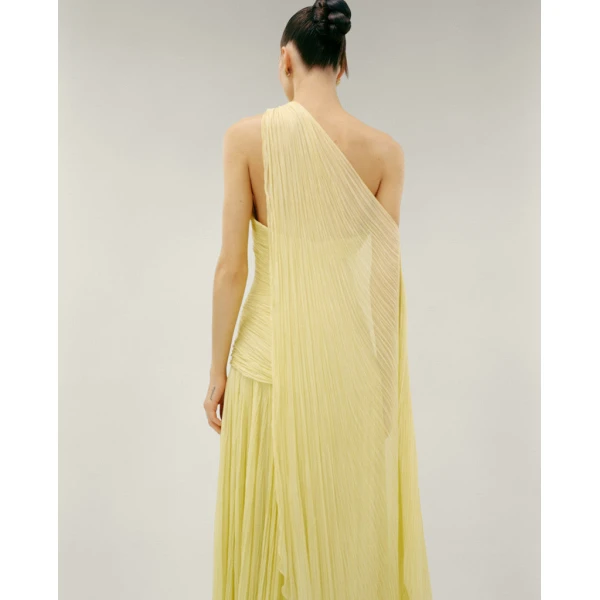 Marmar Halim Strapless Pleated Chiffon Georgete Dress With Pleated Cape Dresses
